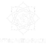 vedicastrofocus.com logo400 x 300